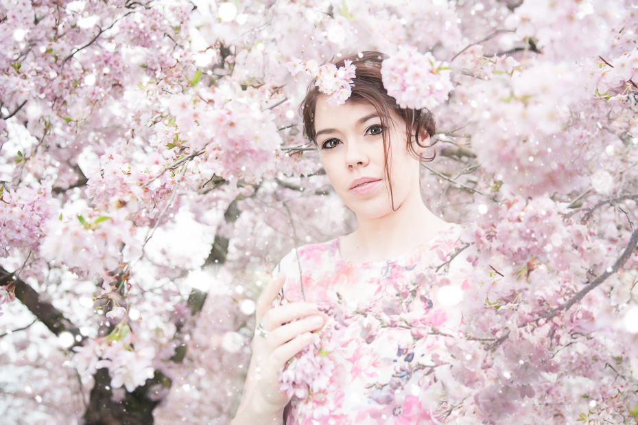 DSC_4837_Augen weniger malerisch