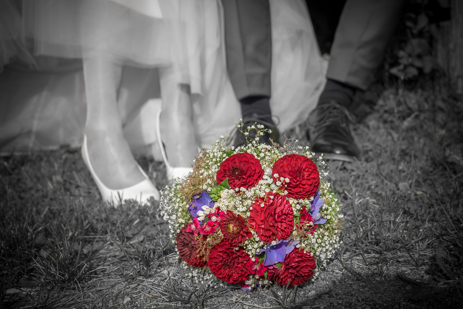 OLY01444_colorkey_vignette