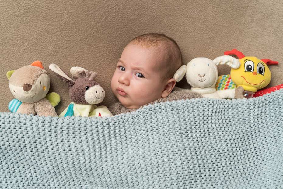 all meine Kuscheltiere