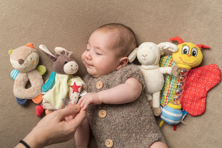 alle meine Kuscheltiere